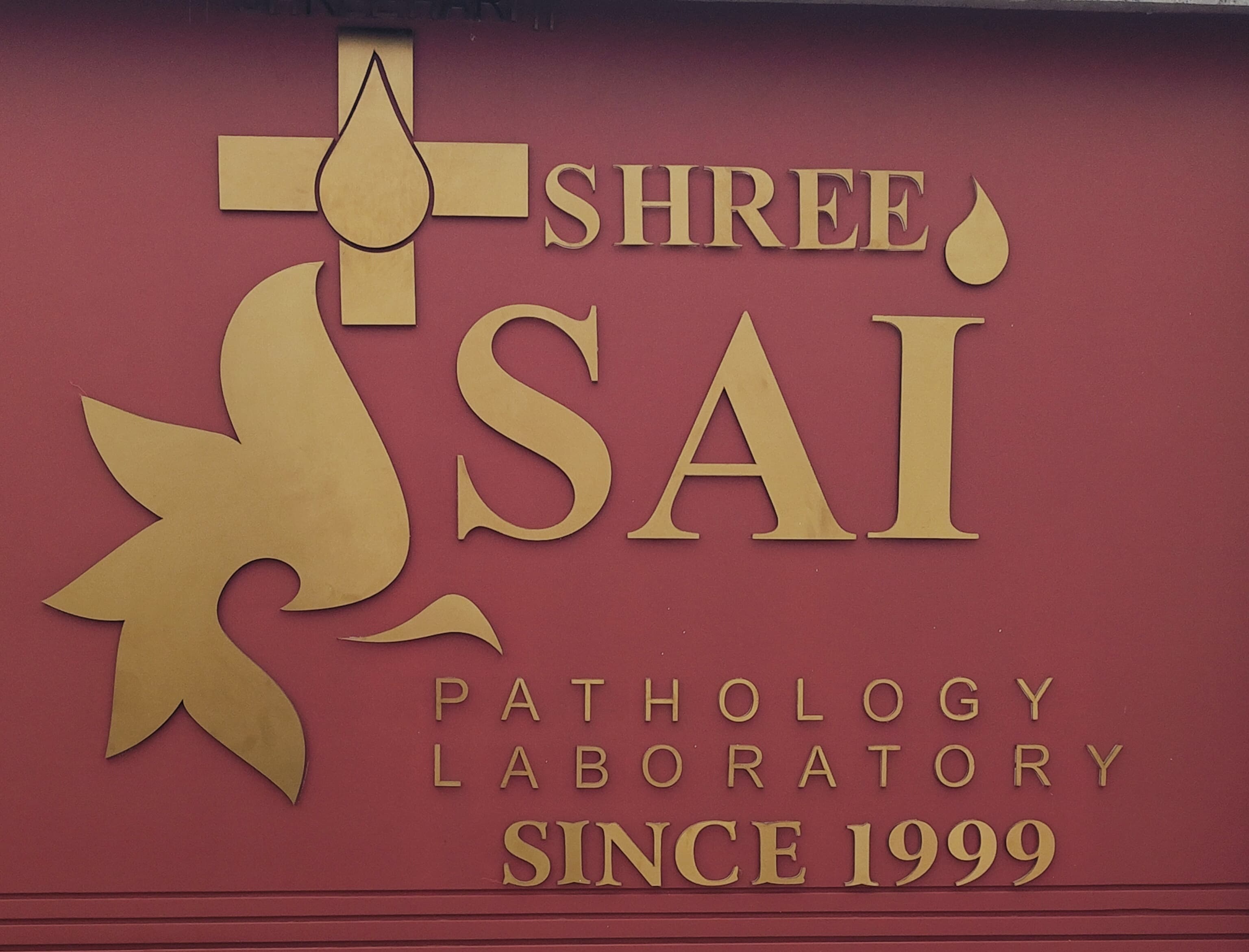 Shree Sai Pathology Laboratory home sample collection service — trained phlebotomist collecting blood sample at patient's home in Bhuj